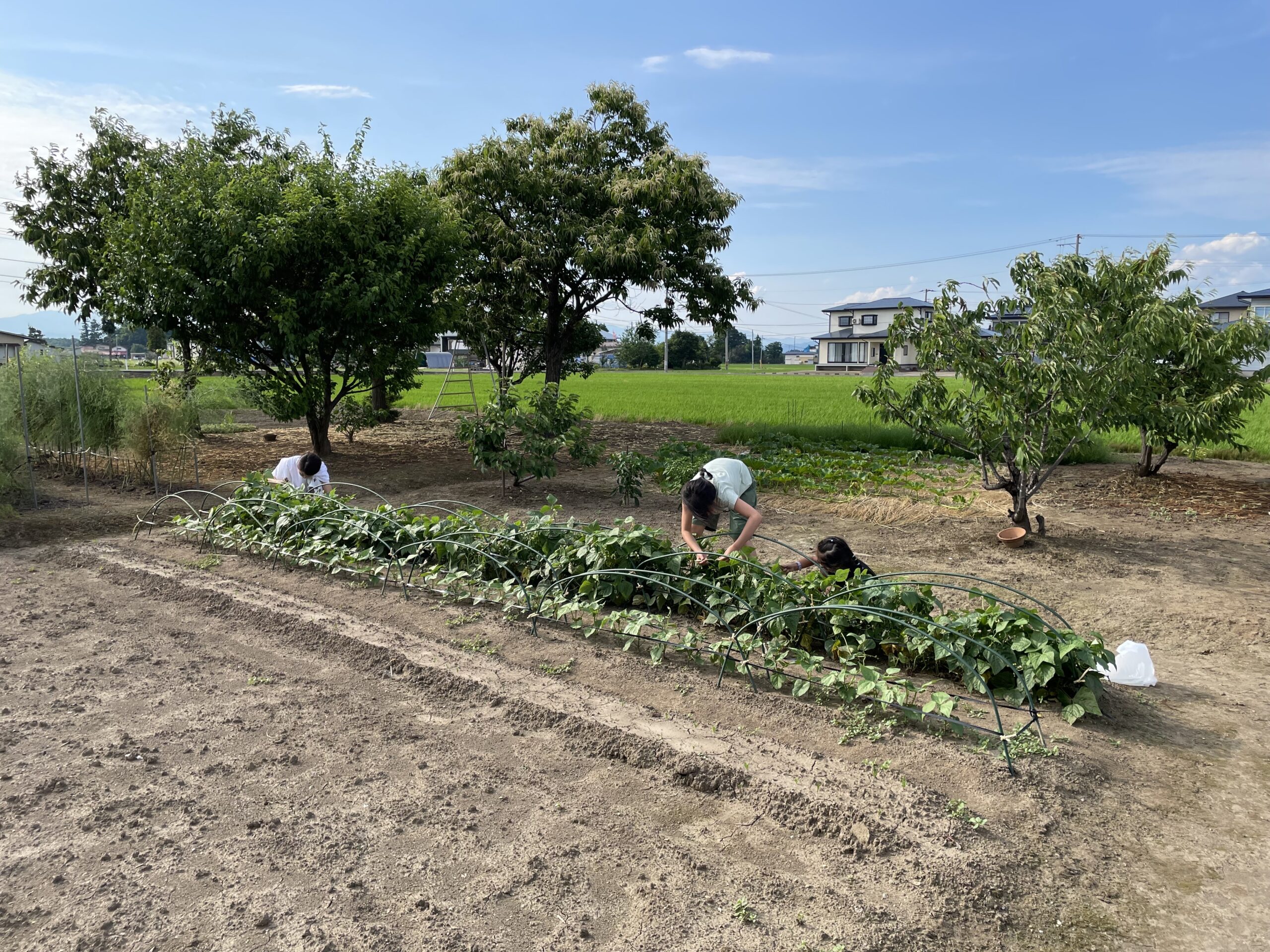 日本・農園